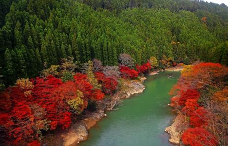 岚山，日本京都，爱河，日本，河流，森林，树木
