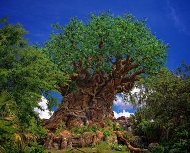 迪士尼王国的生命之树唐沙利文