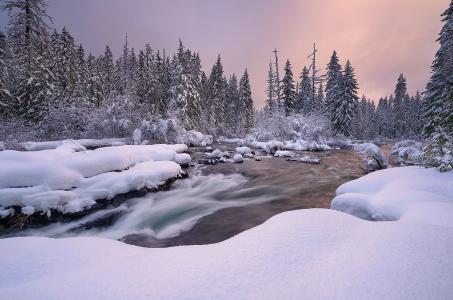 自然，景观，冬天，雪，河，冷杉，日落