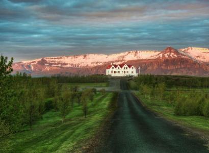 冰岛，冰岛，景观，山，树，房子，道路