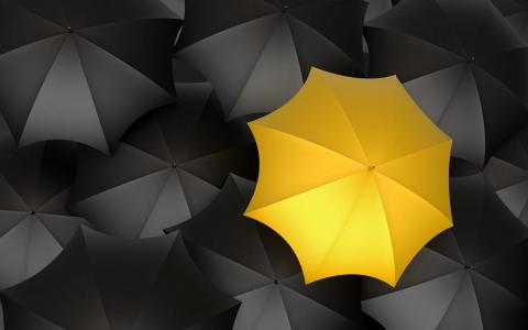黑色的雨伞，黄色的雨伞