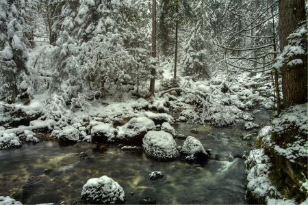 冬天，河，流，性质，石头，森林
