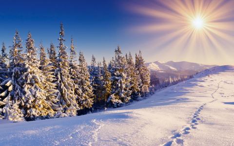 雪，太阳，山脉中的痕迹