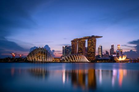 海湾花园，新加坡，摩天大楼，晚上，建筑