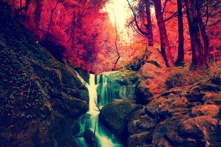秋天，森林，瀑布，树木，性质