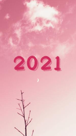 粉色系2021数字配图