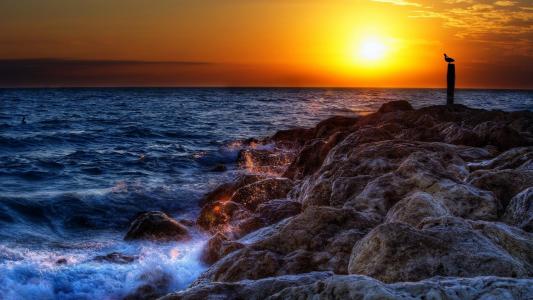 海，岸，石头，波浪，飞溅，太阳