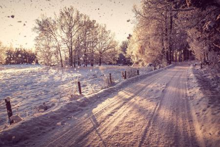 冬天的童话，落雪，道路，树木在雪地里，风景，冬天，阳光