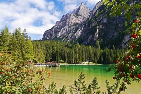 湖，山，森林，景观，braies，意大利