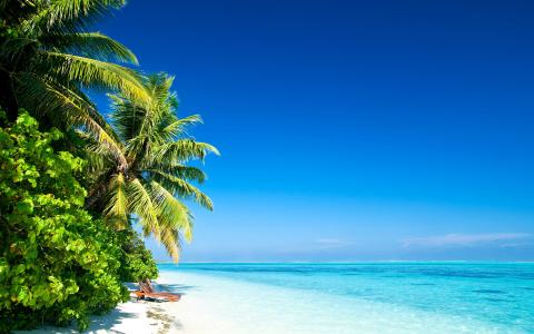 海滩海滩沙滩海洋水棕榈树天空云彩太阳光自然风景自然海岛岸边海滩沙子海洋水棕榈树天空云彩太阳