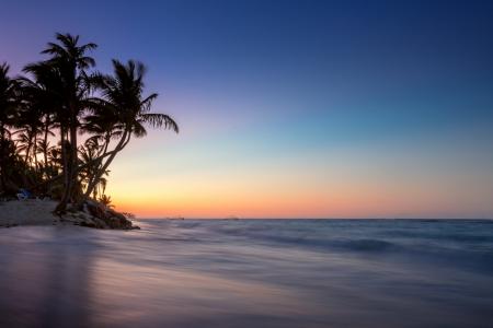海，阴霾，日落，棕榈树