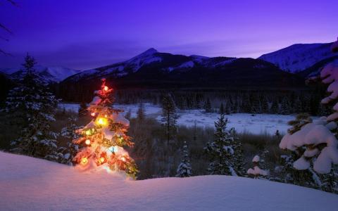 新的一年，冬天，性质，树，玩具，山，树，雪