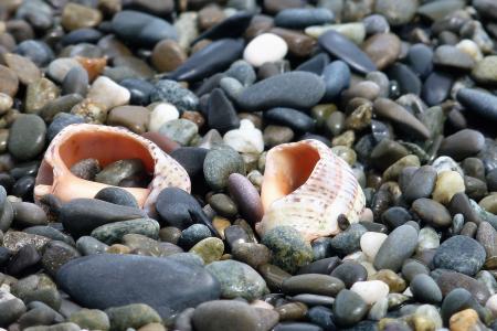 岸，海，研磨，水，贝壳和海，鹅卵石