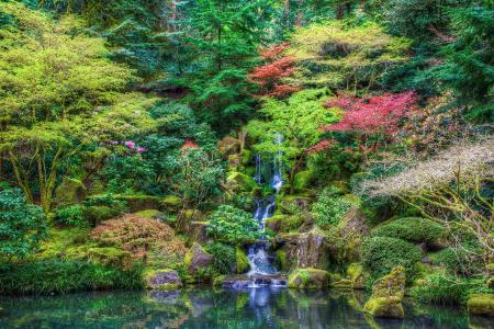 日本庭园，日本庭园，瀑布，石头，树木，池塘，公园