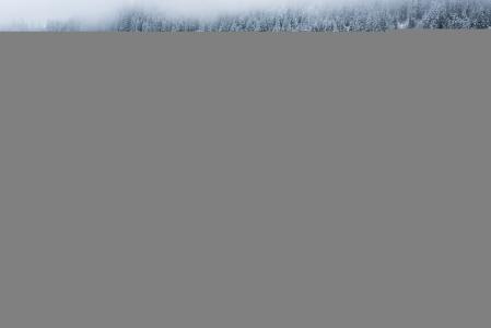 考马湖，瑞士弗利姆斯，森林，雪，冬天