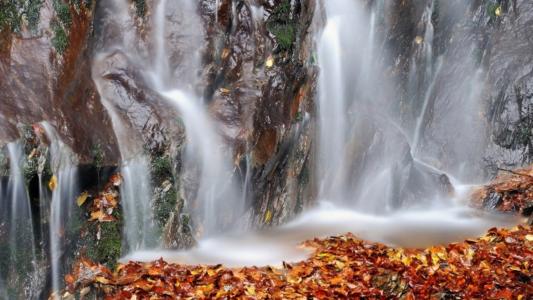 瀑布，岩石，堕落，叶子