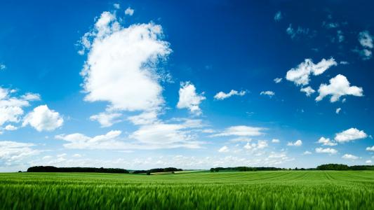 绿色的田野，天空，云