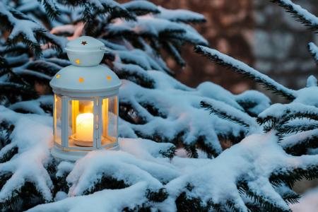 圣诞树，蜡烛，冬天，灯笼，雪，分支机构