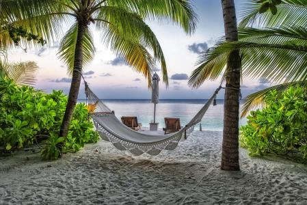 吊床，度假村，沙滩，棕榈树，马尔代夫
