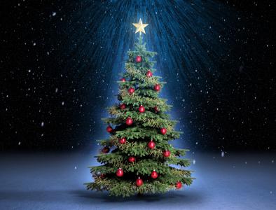 树，雪，夜，魔术，光线，明星，红球，假日，圣诞树，雪，魔术，新的一年，圣诞节