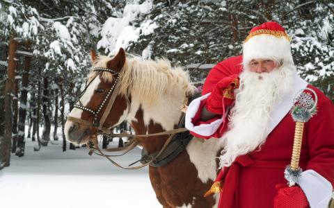 新的一年，圣诞老人，马，礼物