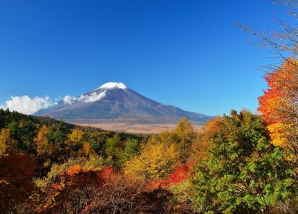 日本，富士山，天空，树木，树叶，秋天