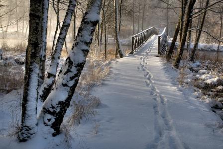 冬天，公园，桥，雪，白色