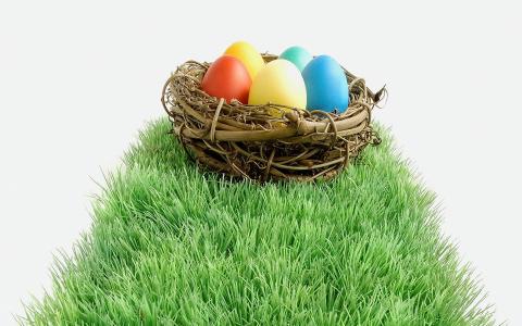 巢与鸡蛋，草