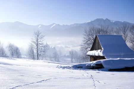 房子，冬天，景观，雪