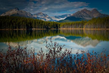 加拿大，湖泊，山脉，倒影，森林，灌木丛