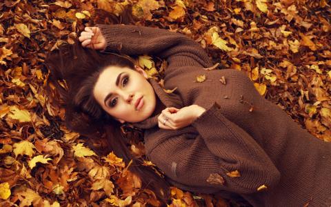 毛衣，叶子，女孩，秋天，叶子