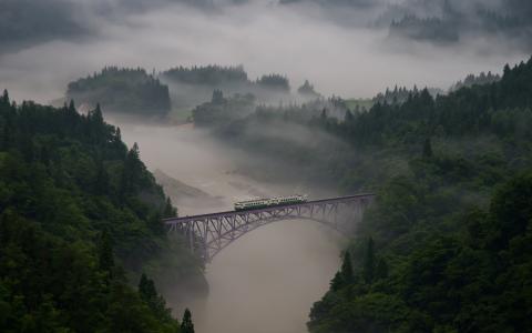 桥，雾，火车，森林