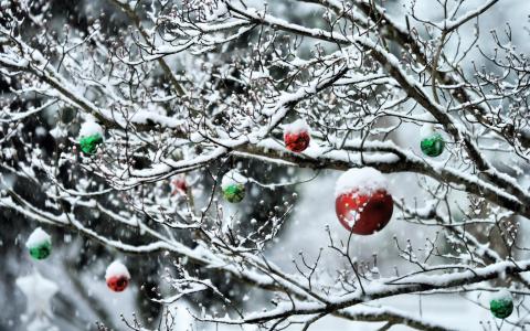 玩具，冬天，新年，雪，树木，森林