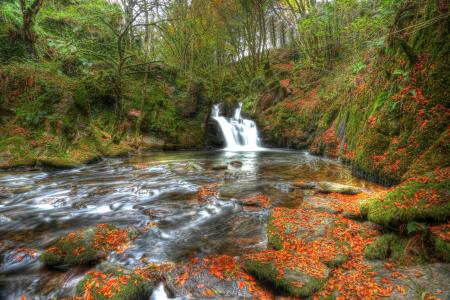 Mullinhassig瀑布，爱尔兰，爱尔兰，瀑布，河流，森林，秋天，石头，树叶