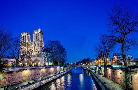 巴黎圣母院，法国，巴黎，巴黎圣母院，法国，巴黎，巴黎圣母院，城市，夜，树，桥，河，塞纳河，塞纳河，水，光，反思