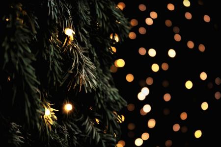圣诞树，云杉，枞树，花环，灯，分支机构
