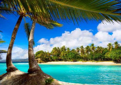 度假，海滩，夏天，热带，海，棕榈树，天堂，海洋