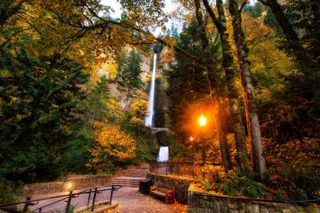 哥伦比亚河峡谷，俄勒冈州，马尔特诺马瀑布，公园，景观
