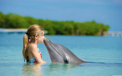 女孩，海豚，吻