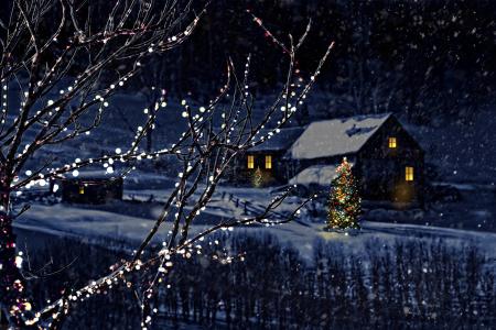 圣诞快乐，魔术圣诞之夜，圣诞树，新的一年