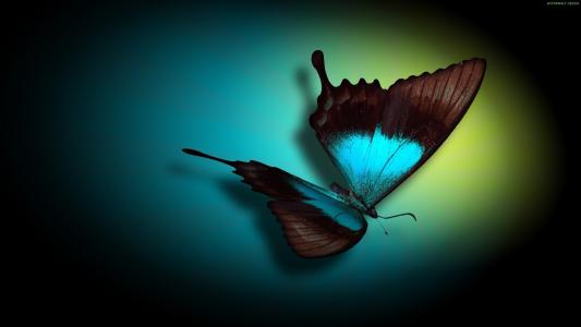 蝴蝶，柔和的蓝色