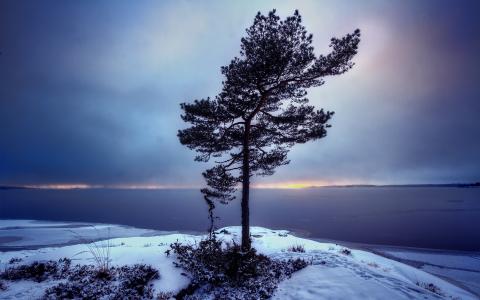 瑞典，Varmland，Bergvik，日落，雪
