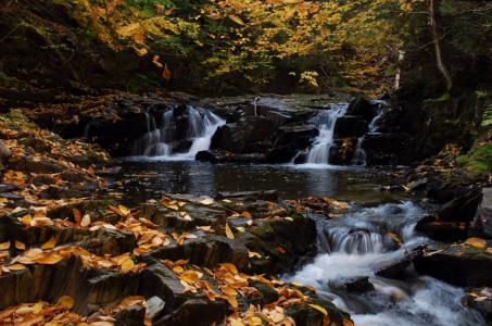 Nigadoo河，加拿大，加拿大，小瀑布，河流，森林，秋天，叶子