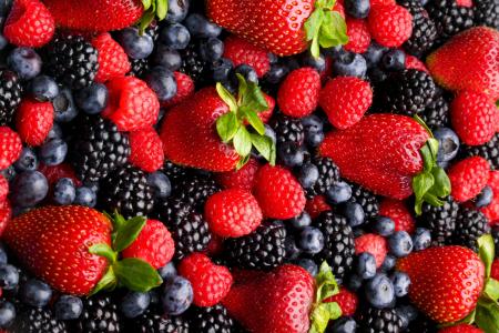 浆果，草莓，覆盆子，黑莓，蓝莓