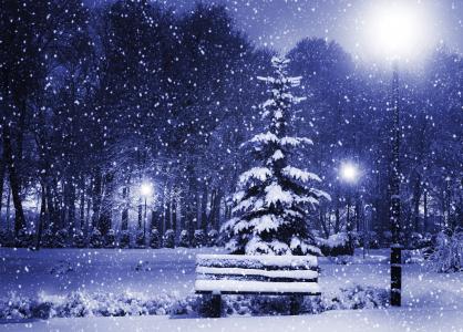 魔术圣诞之夜，新的一年，圣诞树，圣诞快乐