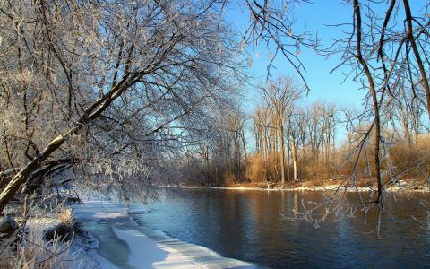 冬天，河，景观