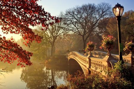 桥，公园，秋季，公园，秋季，桥，秋季