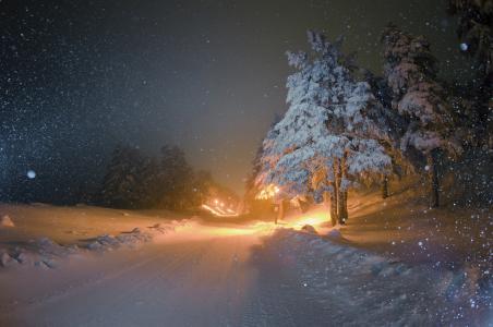 圣诞树，灯笼，雪，路，冬天，夜