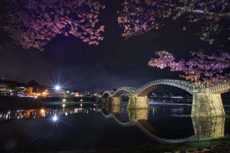 日本，夜晚，春天，樱花，桥，ivakuni