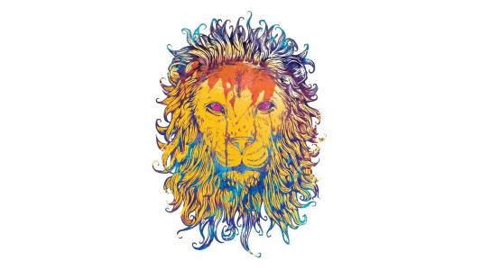 油漆，背景，颜色，狮子